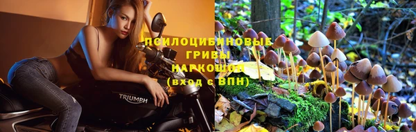 герыч Белокуриха